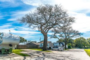 Plantation Oaks RV Park RV Sites