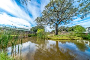 Plantation Oaks RV Park pond