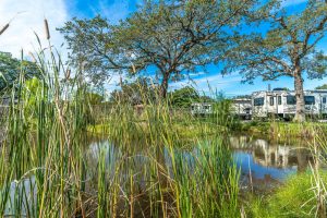 Plantation Oaks RV Park pond