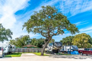 Plantation Oaks RV Park RV Sites