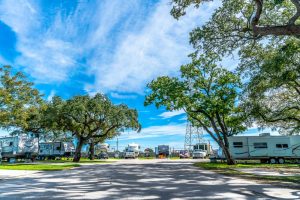 Plantation Oaks RV Park RV Sites